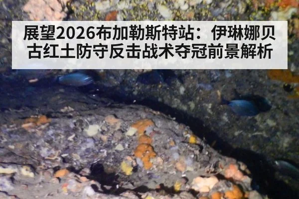 展望2026布加勒斯特站：伊琳娜贝古红土防守反击战术夺冠前景解析