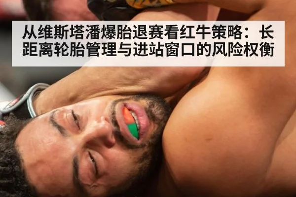 从维斯塔潘爆胎退赛看红牛策略:长距离轮胎管理与进站窗口的风险权衡